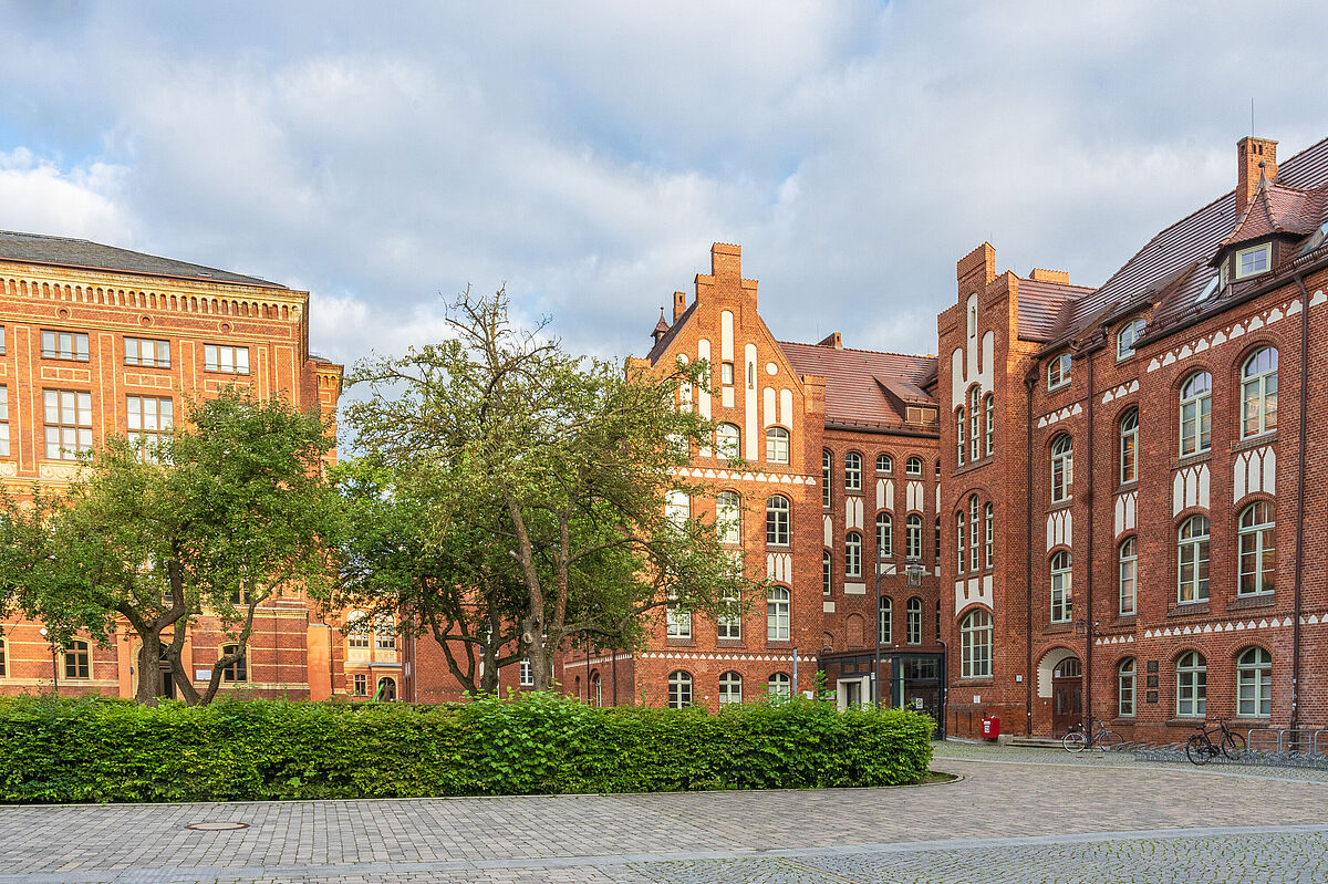 Campus Loefflerstraße Campus Loefflerstraße; Im Innenhof umsäumt zwischen historischen Backsteingebäuden liegt malerisch der kleine Rosengarten mit Apfelbäumen.